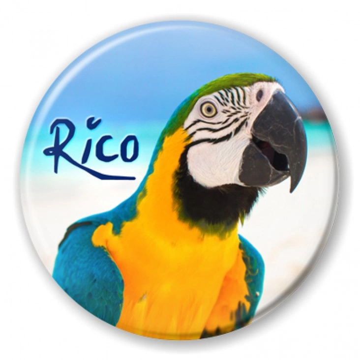 przypinka Papugarnia Carmen - Rico