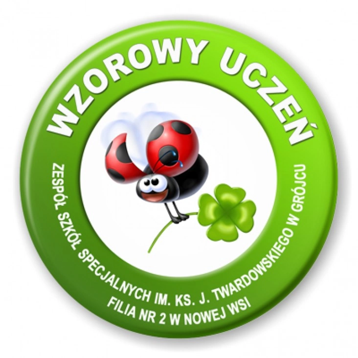 przypinka Wzorowy uczeń