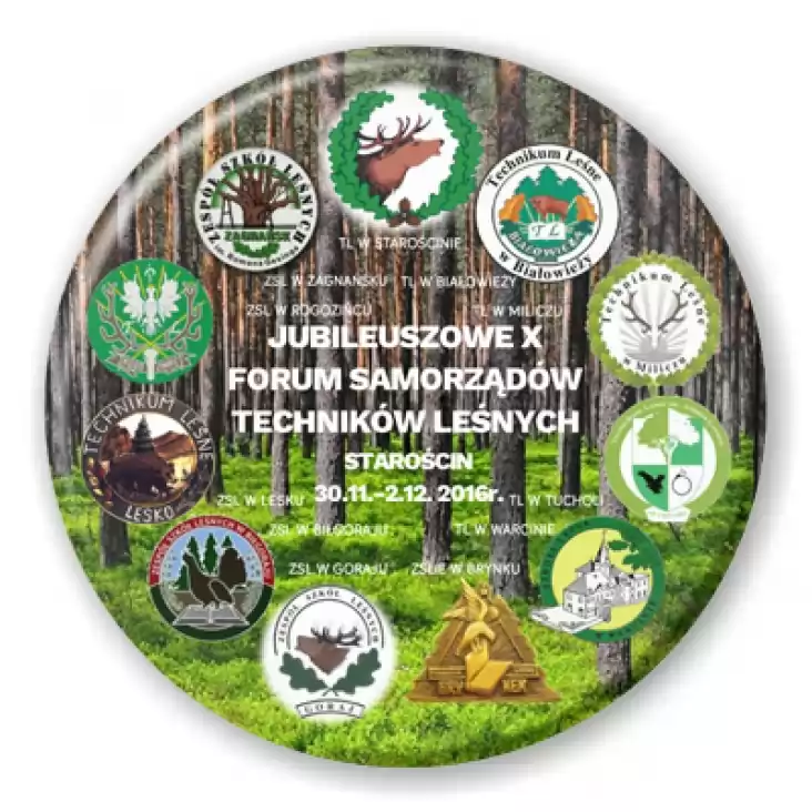 przypinka X Forum Samorządów Techników Leśnych