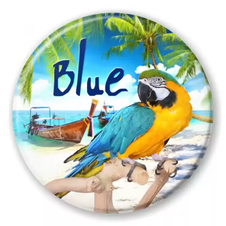 przypinka Papugarnia Carmen - Blue