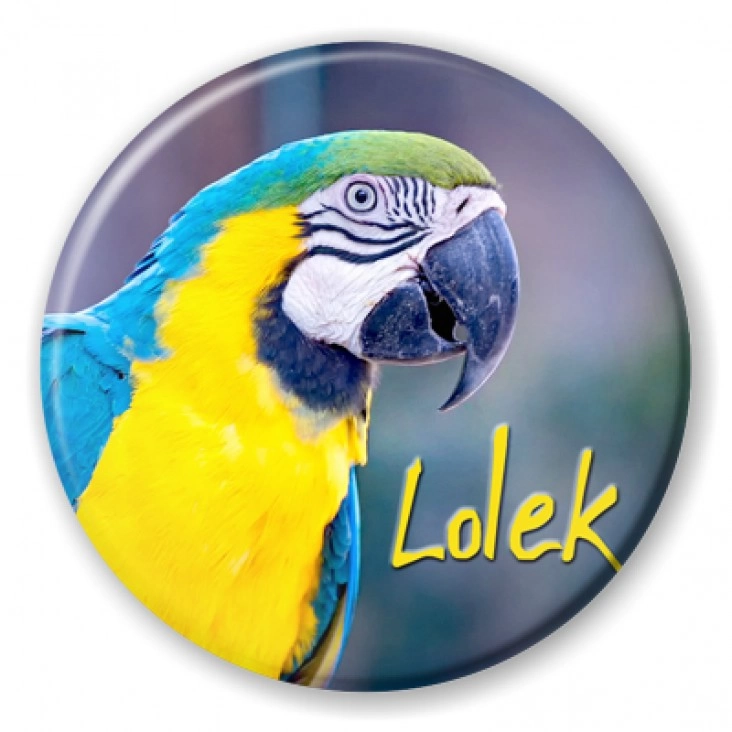 przypinka Papugarnia Carmen - LOLEK