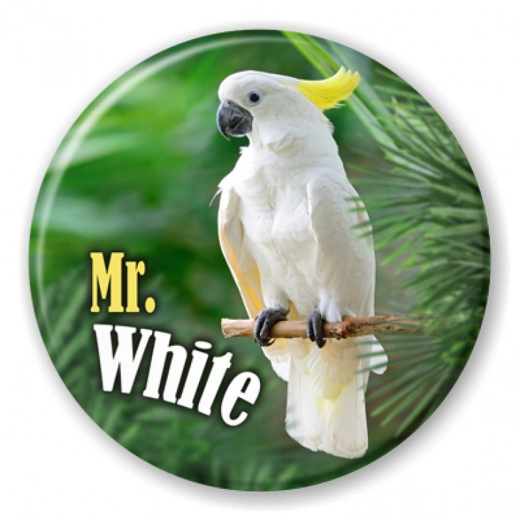 przypinka Papugarnia Carmen - Mr. White