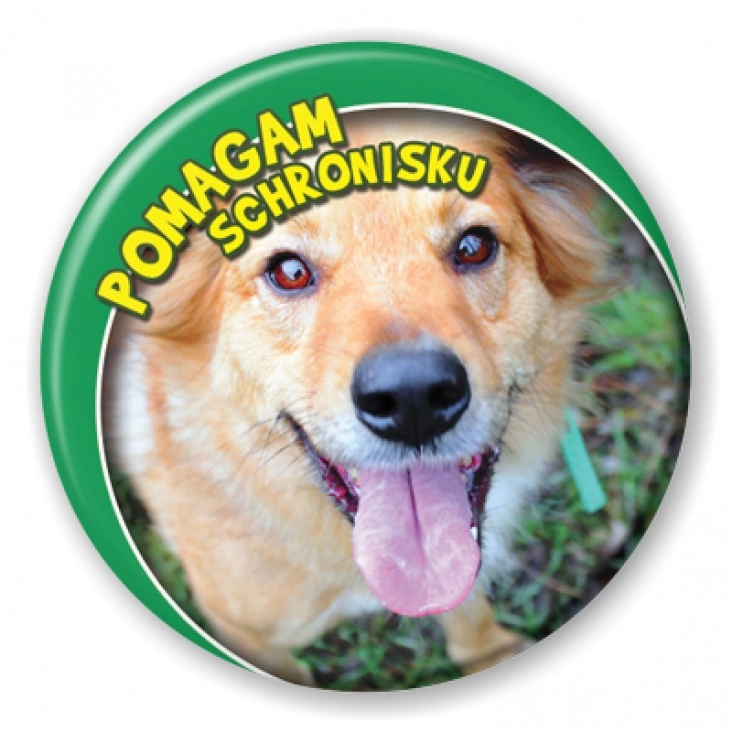 przypinka Pomagam Schronisku