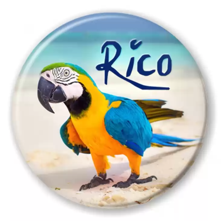 przypinka Papugarnia Carmen - Rico