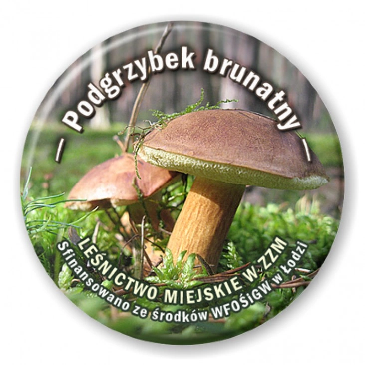 przypinka Podgrzybek brunatny