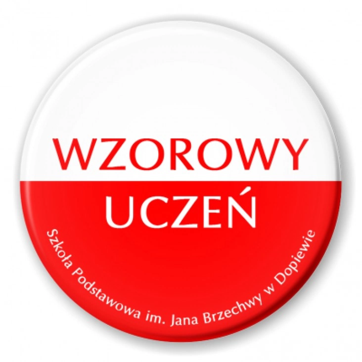 przypinka Wzorowy Uczeń
