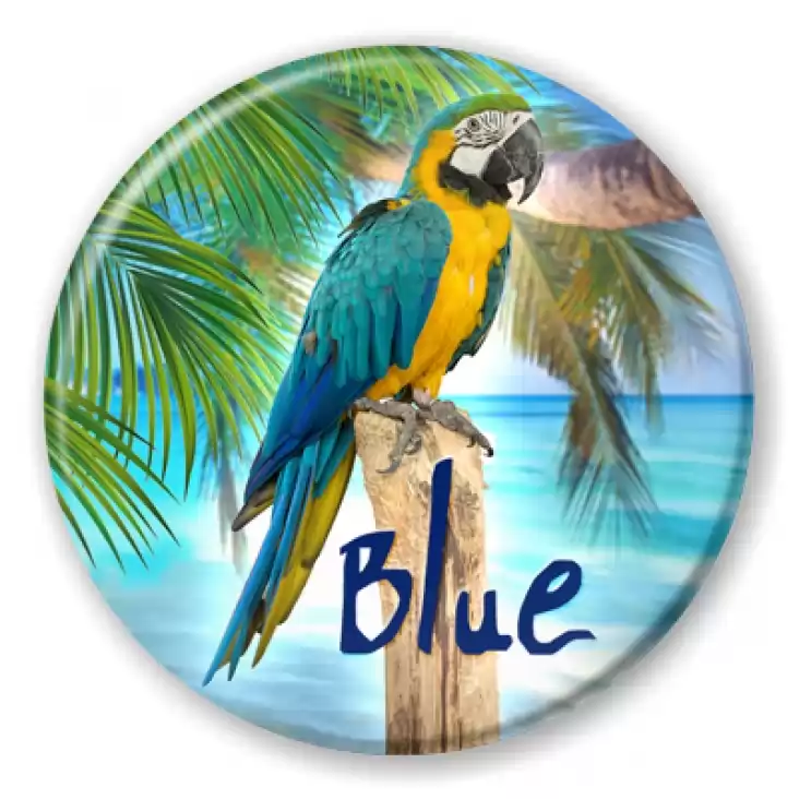 przypinka Papugarnia Carmen - Blue