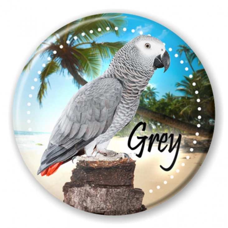 przypinka Papugarnia Carmen - Grey