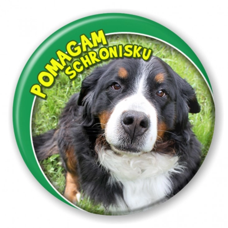 przypinka Pomagam Schronisku