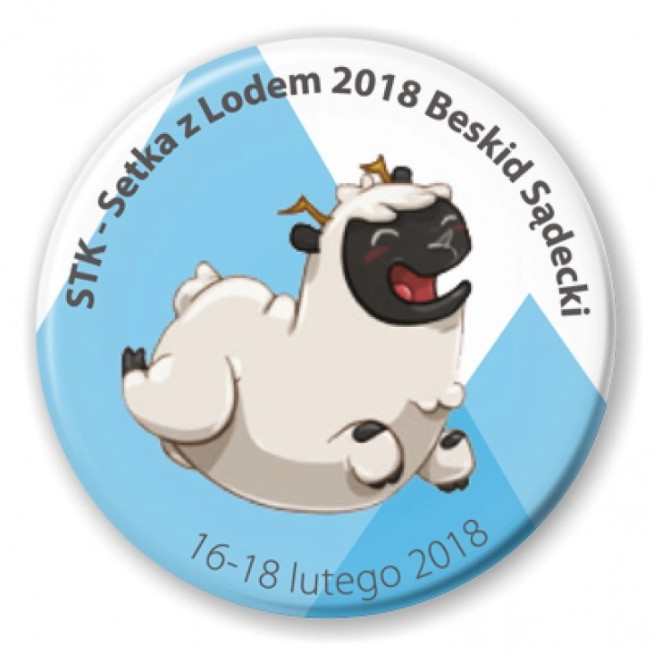 przypinka Setka z lodem