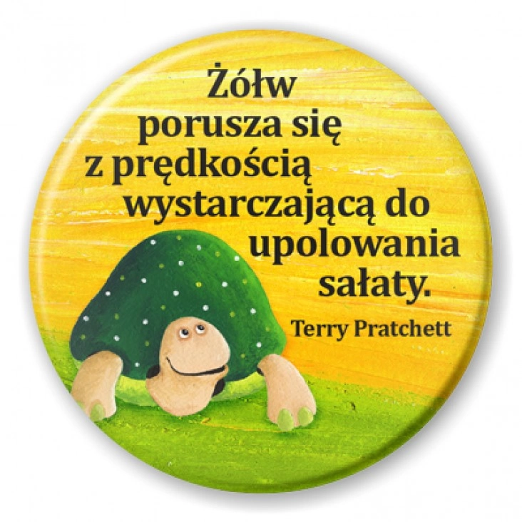 przypinka Żółw
