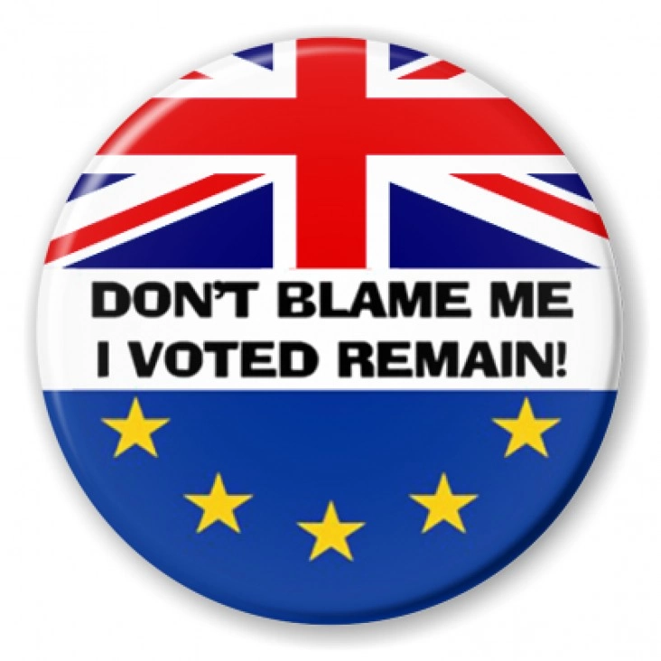 przypinka Don`t blame me...