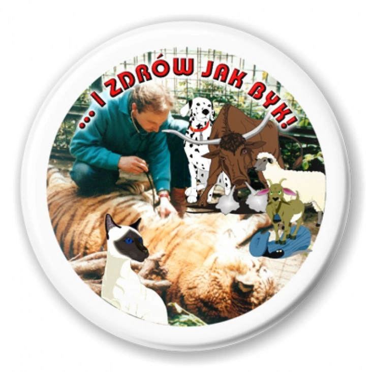 przypinka ...I zdrów jak byk!