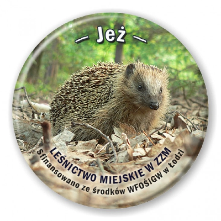 przypinka Jeż