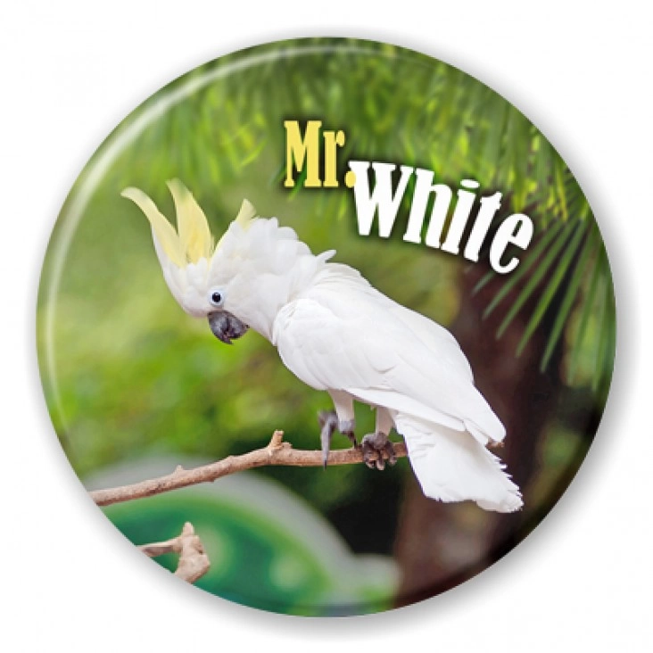 przypinka Papugarnia Carmen - Mr. White