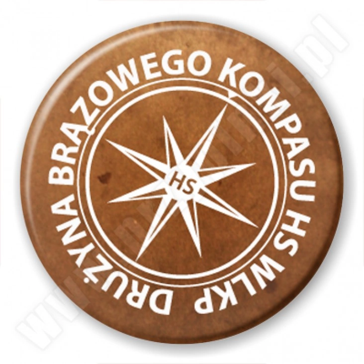 przypinka Drużyna Brązowego Kompasu