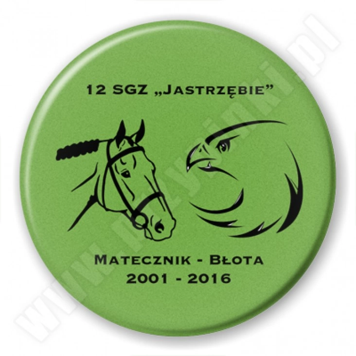 przypinka Jastrzębie