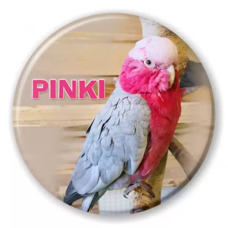 przypinka Pinkie