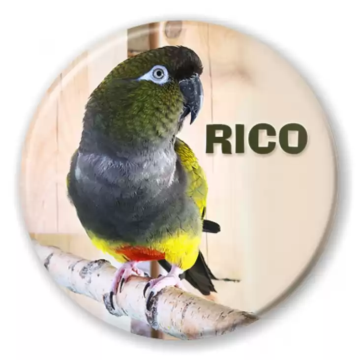 przypinka Rico