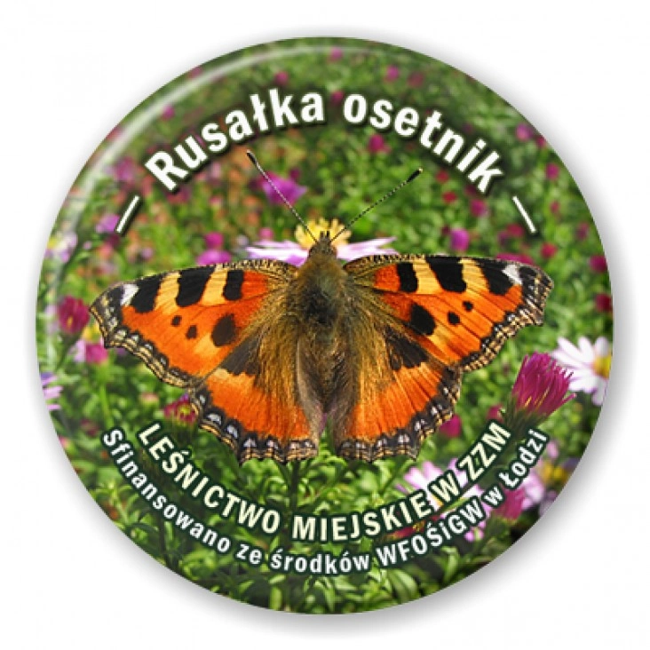 przypinka Rusałka osetnik