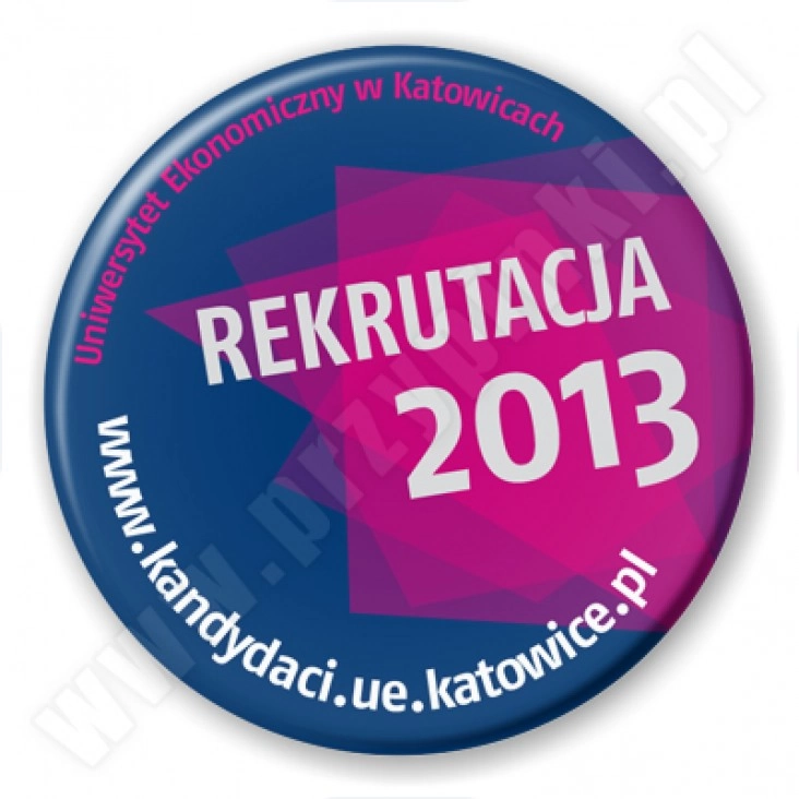 przypinka UE w Katowicach - Rekrutacja 2013