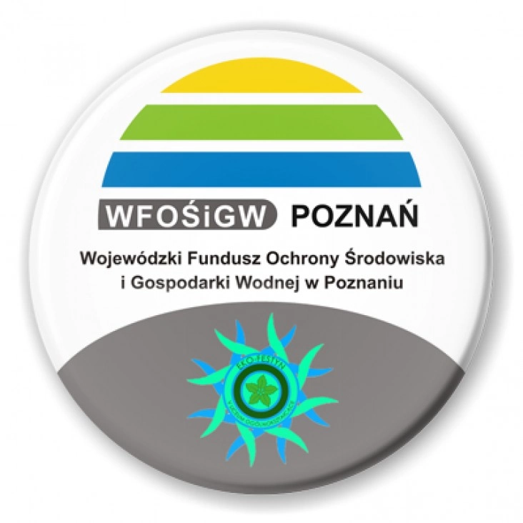 przypinka Eko-festyn