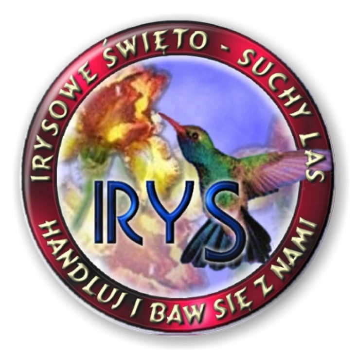przypinka Irysowe Święto - Suchy Las