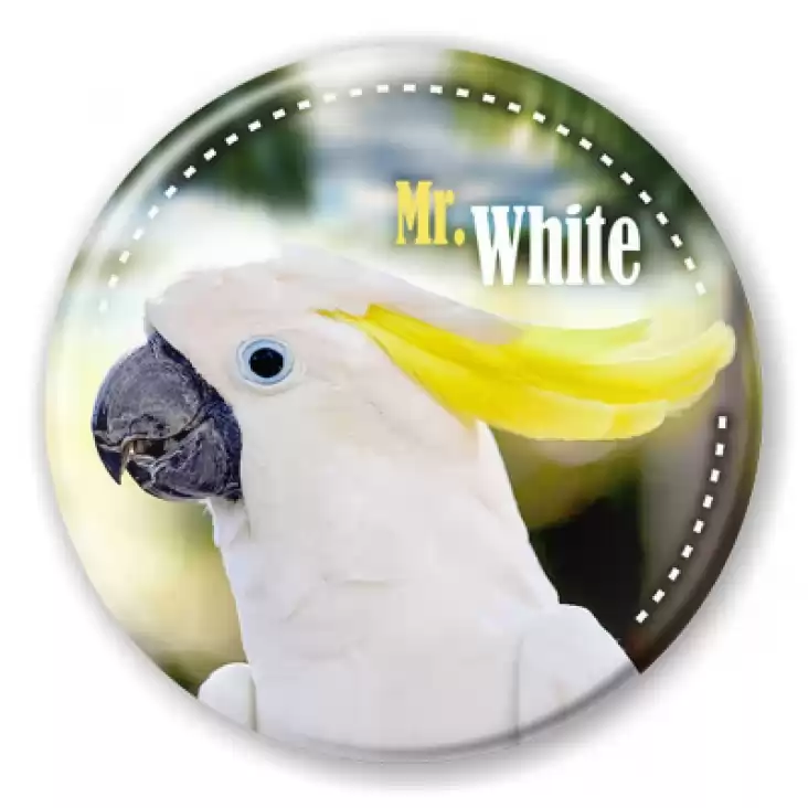 przypinka Papugarnia Carmen - Mr. White