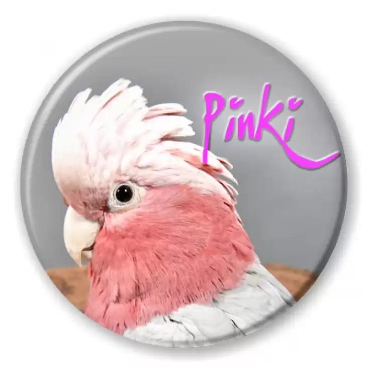 przypinka Papugarnia Kakadu - Pinki