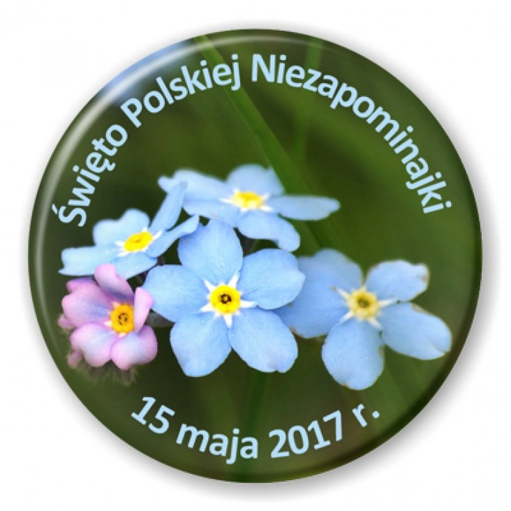 przypinka Święto Polskiej Niezapominajki