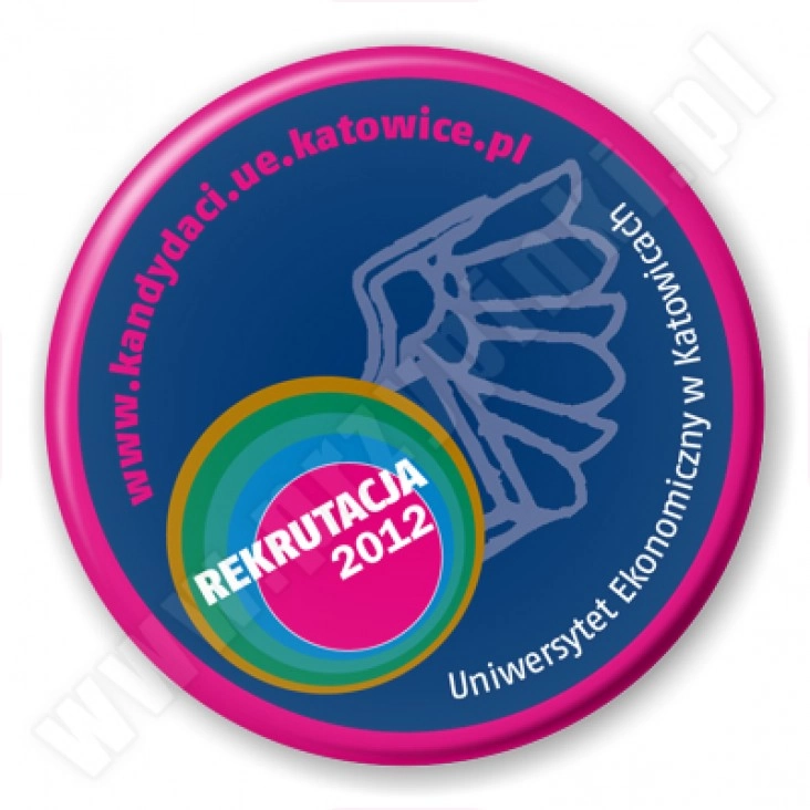 przypinka UE w Katowicach - Rekrutacja 2012