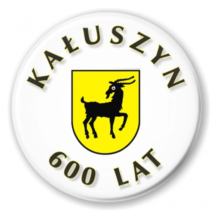przypinka Kałuszyn