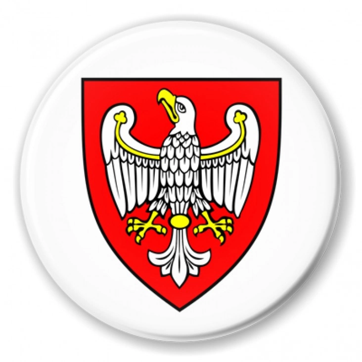 przypinka Koleje Wielkoolskie