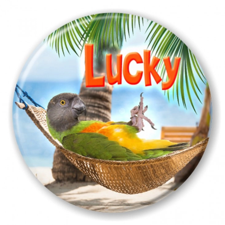 przypinka Papugarnia Carmen - Lucky