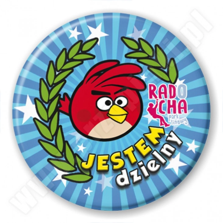 przypinka Radocha - jestem dzielny
