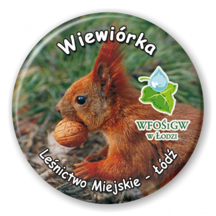 przypinka Wiewiórka