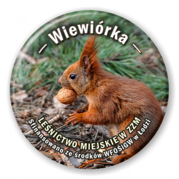 przypinka Wiewiórka