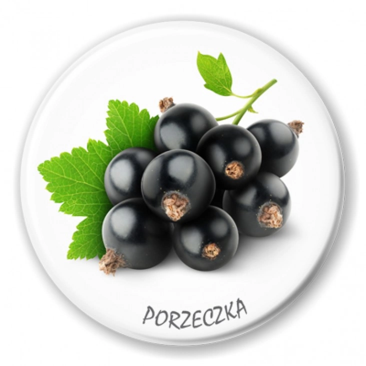przypinka Porzeczka