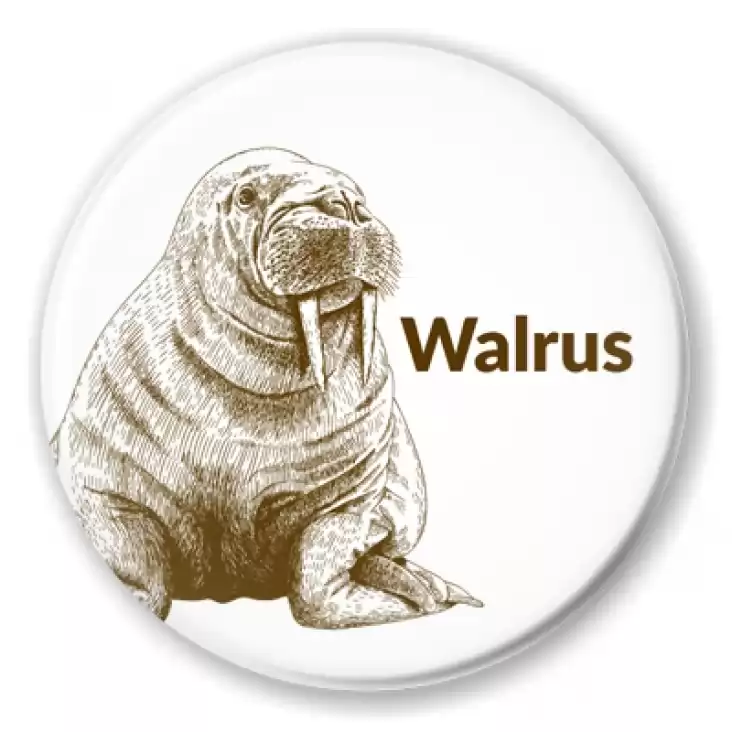 przypinka Walrus