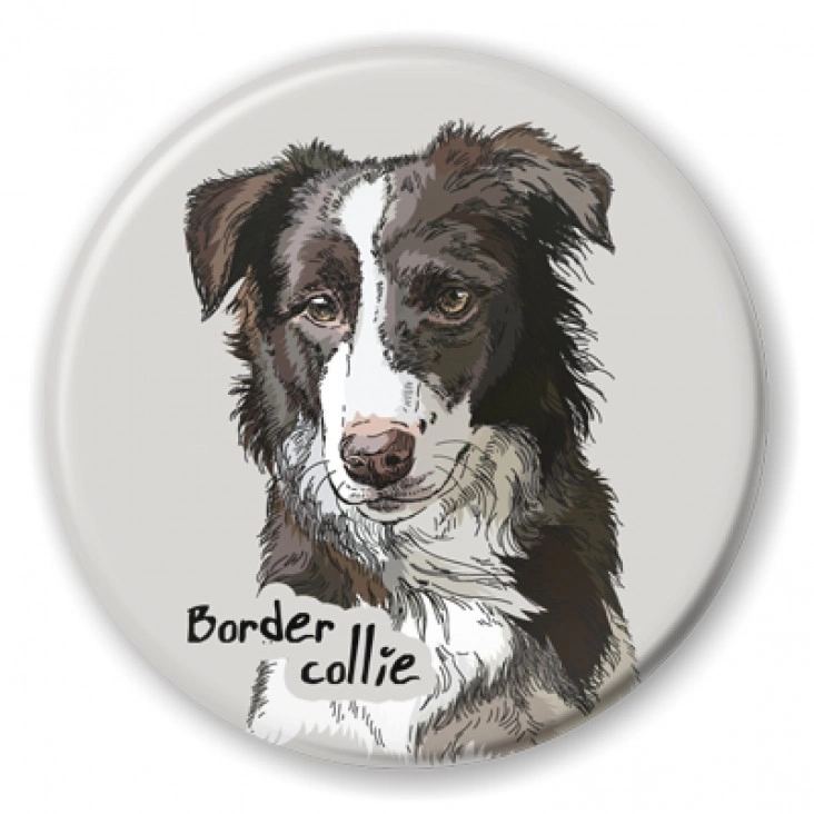 przypinka Border collie