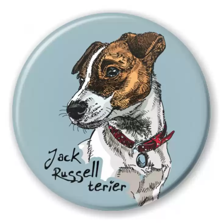 przypinka Jack Russell terrier