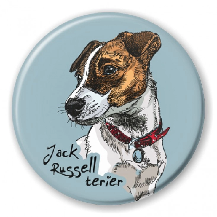 przypinka Jack Russell terrier