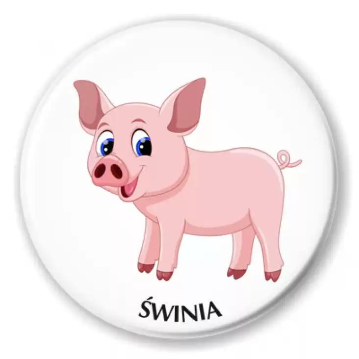 badziki swinia swinka