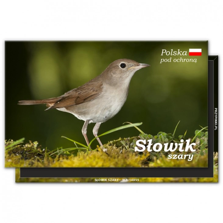 magnes na lodowke srodowisko chronione symbole narodowe