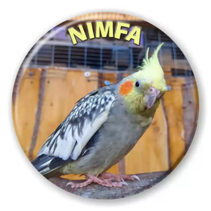 przypinka Papuga Nimfa