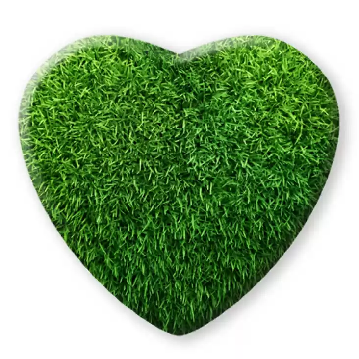 przypinka Zielone serce