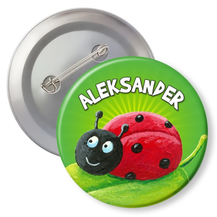przypinkaBiedronka