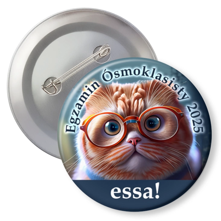 przypinkaEgzamin Ósmoklasisty Essa