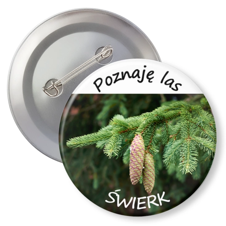 przypinkaPoznaję las świerk