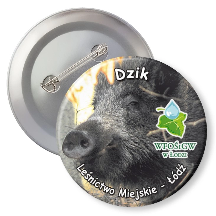 przypinka z agrafką Dzik